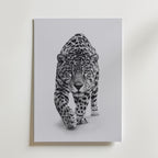 Prowling Jaguar Poster – canvas utan passepartout