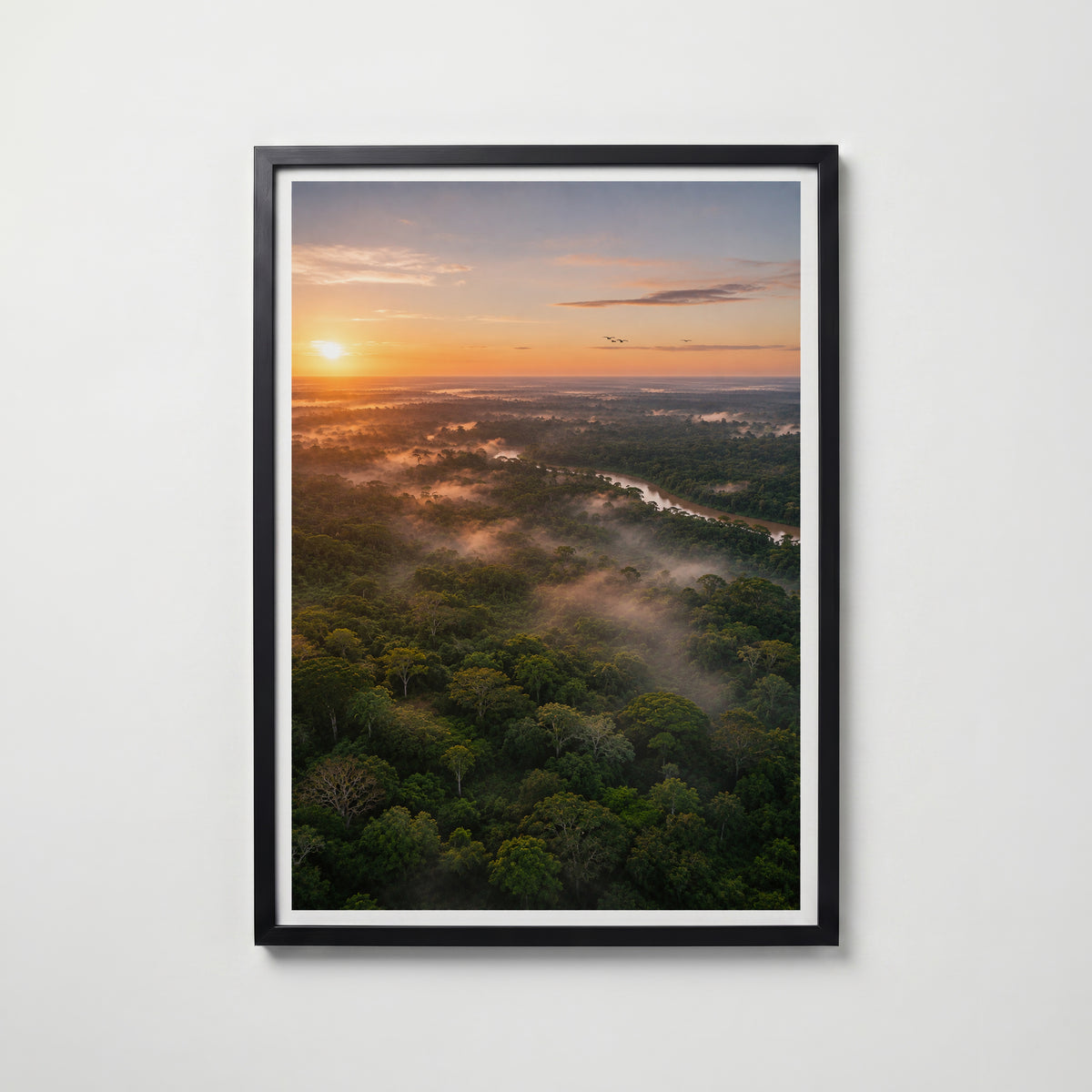 Rainforest at Sunrise Poster