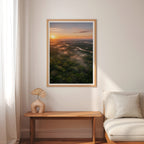 Rainforest at Sunrise Poster