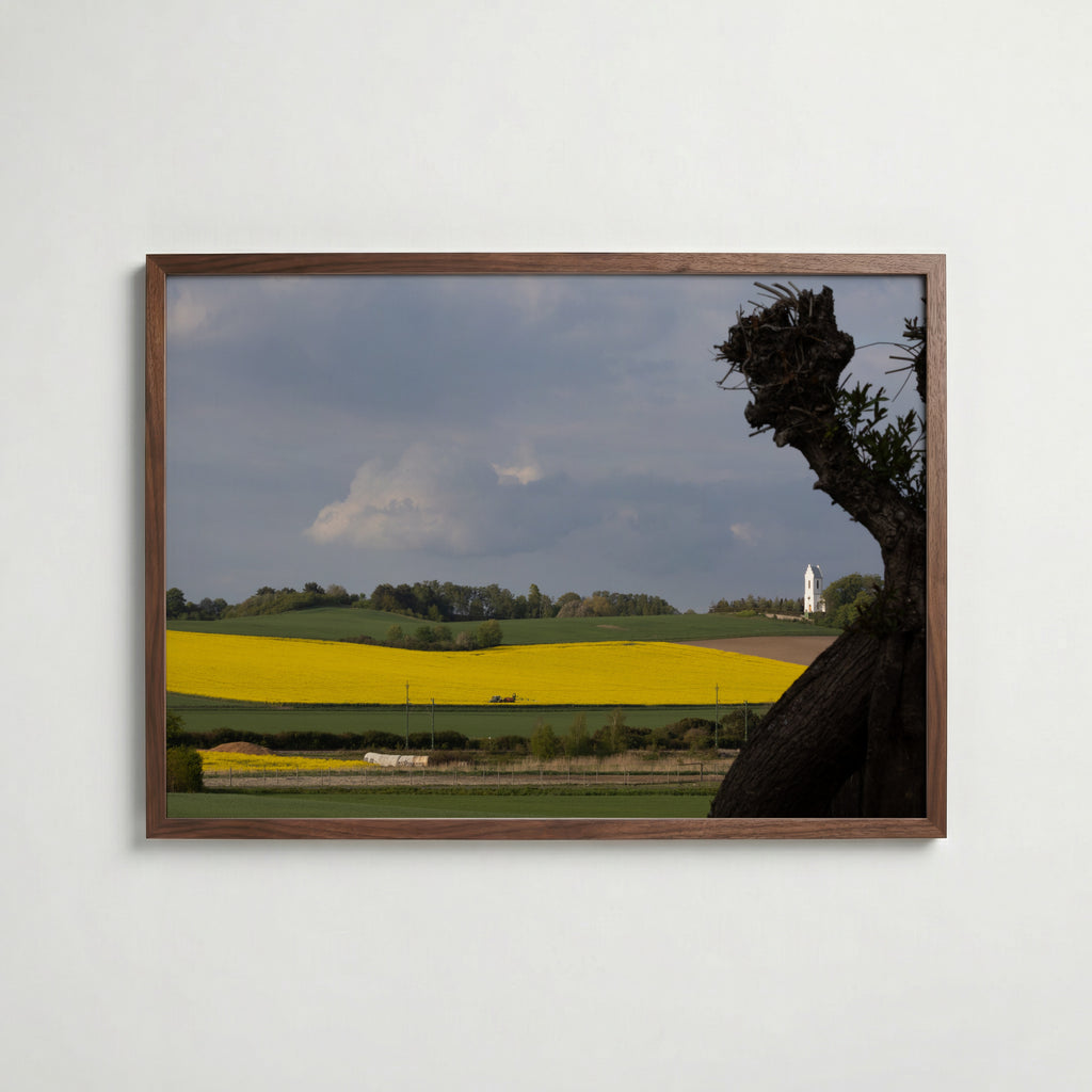Skåne Covered in Yellow Poster i inredningsmiljö