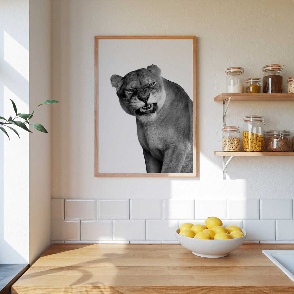 Snarling Lioness Poster – i rum 2