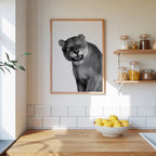 Snarling Lioness Poster – i rum 2