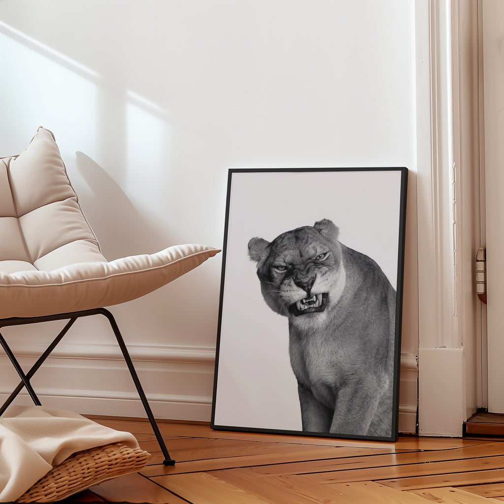Snarling Lioness Poster – i rum 3