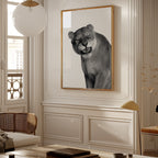 Snarling Lioness Poster – i rum 5