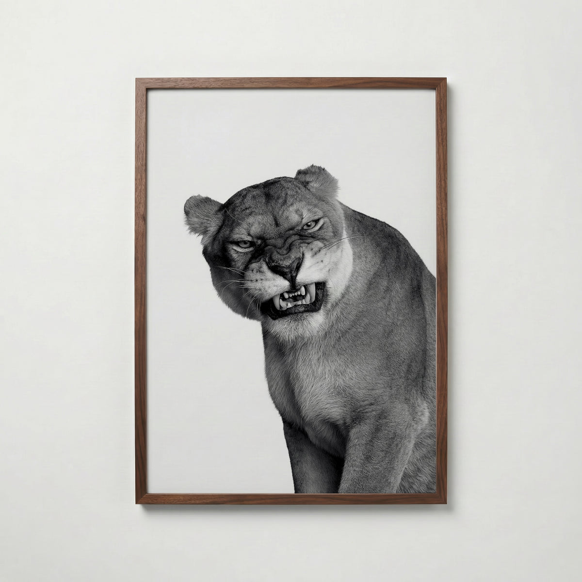 Snarling Lioness Poster – valnötsram