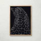 Stardust Leopard Poster – ekram