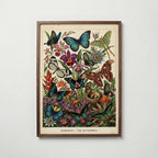 Tropical Lepidoptera Poster i vardagsrumsmiljö