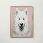 Velvet Paw Poster med ekram