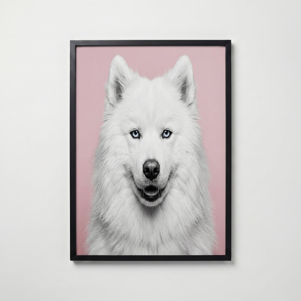 Velvet Paw Poster i hemiljö