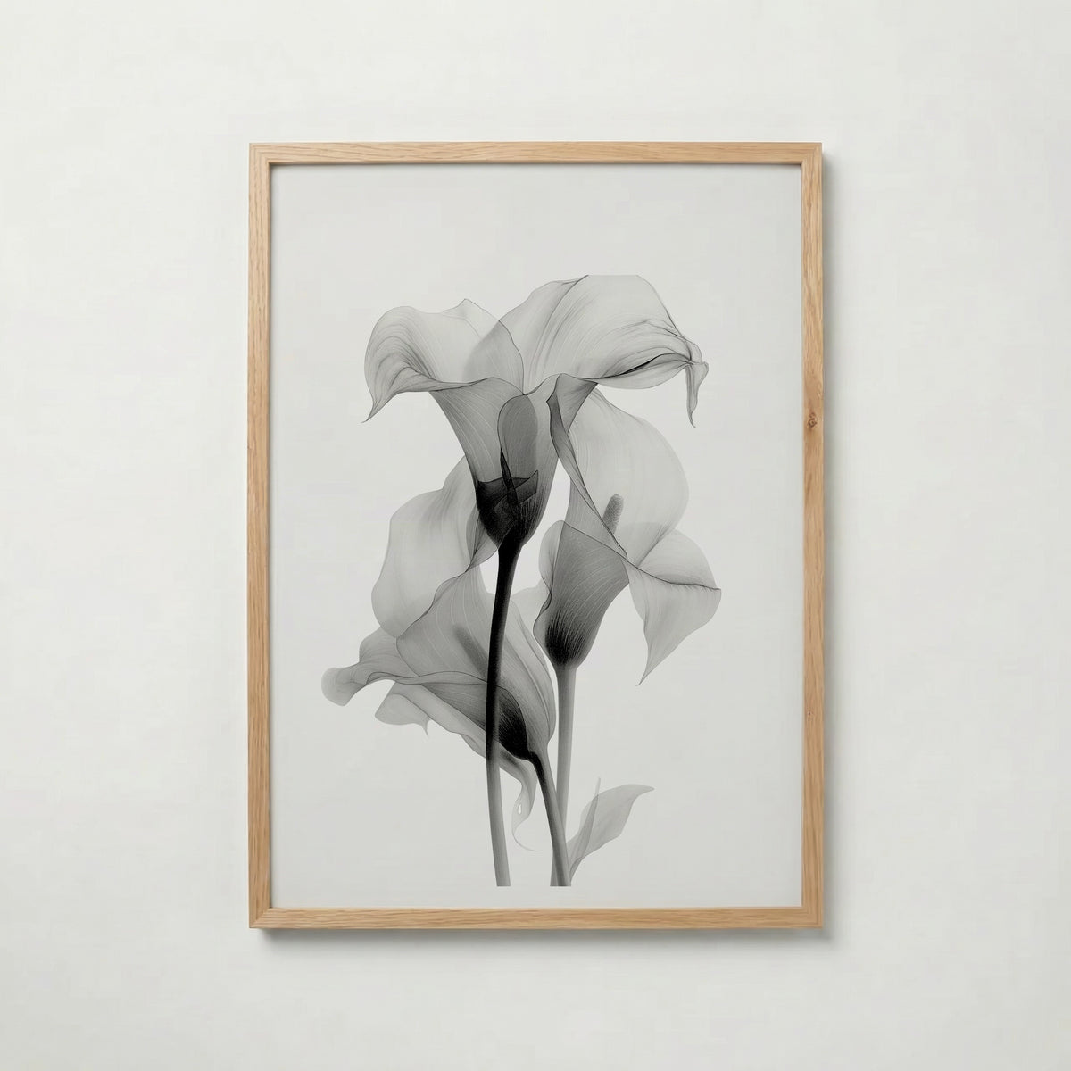 Translucent Calla Poster – ekram