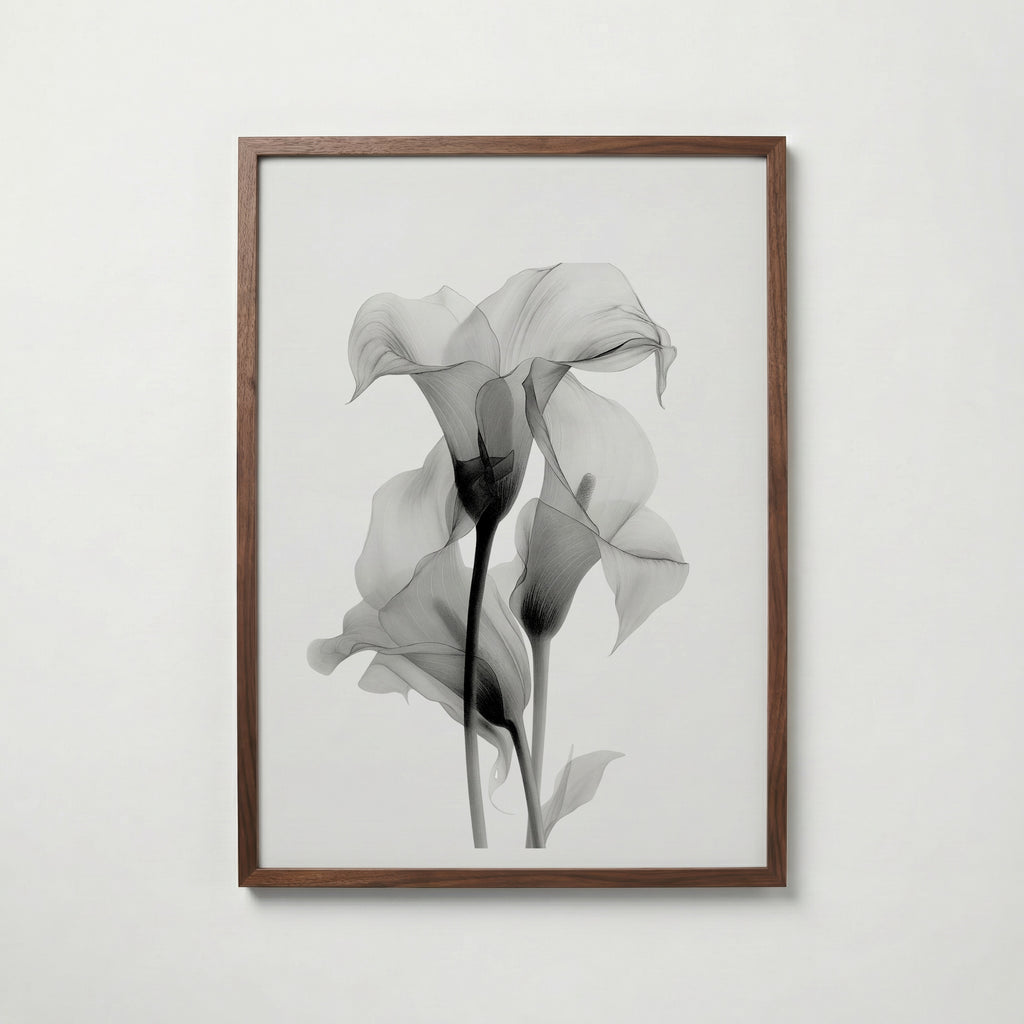 Translucent Calla Poster – valnötsram