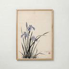 Iris By Caroline Engström – ekram