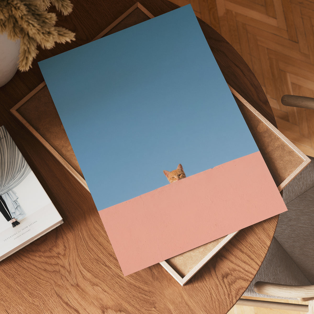 Curious Cat Horizon – affisch med snyggt motiv, köp enkelt hos Bozetto i flera storlekar