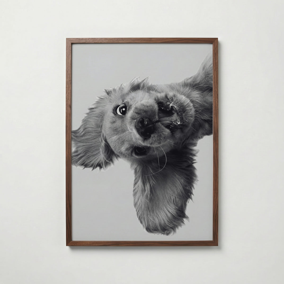 Puppy Play Poster – valnötsram