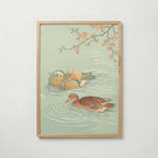 Spring Waters Poster – japanskt träsnitt med två mandarinänder och blommande gren i celadon och persika i ekram, tryckt i Sverige